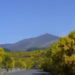 Bed and breakfast Il Vigneto Trecastagni
