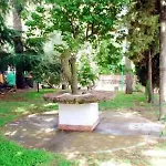 Il Vigneto