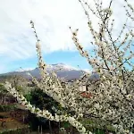 Bed and breakfast Il Vigneto 3*