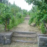 Panzió Il Vigneto