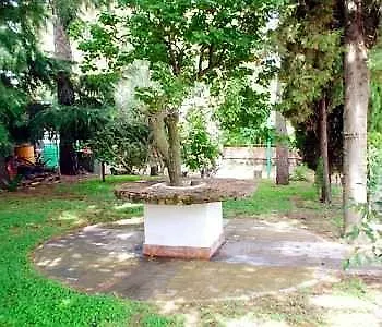 Il Vigneto