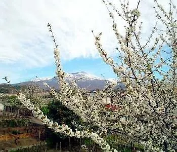 Panzió Il Vigneto Trecastagni
