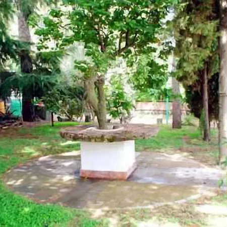 Il Vigneto