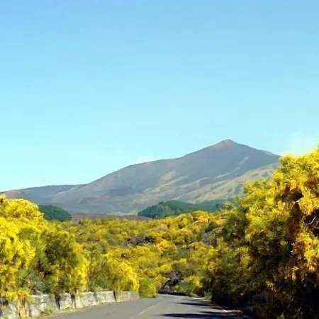 Il Vigneto Trecastagni