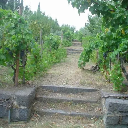 Nocleg ze śniadaniem Il Vigneto
