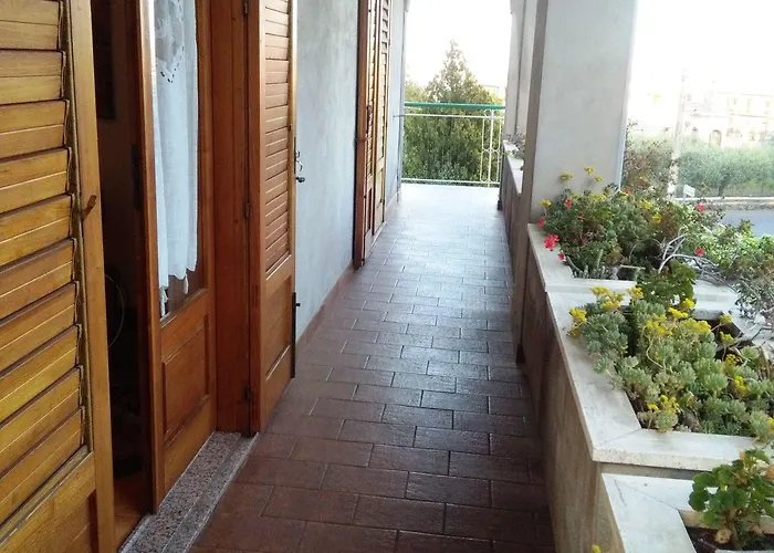 Il Vigneto 3*