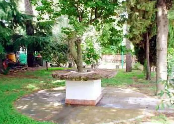 Il Vigneto