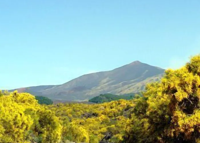 Il Vigneto Trecastagni