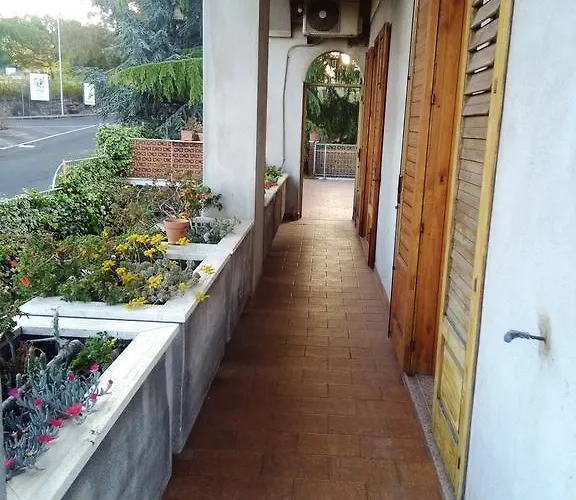 Il Vigneto