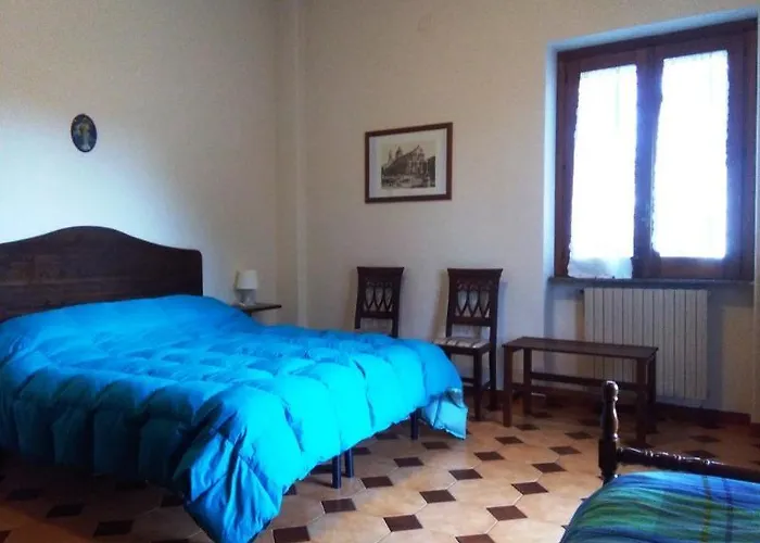 Il Vigneto