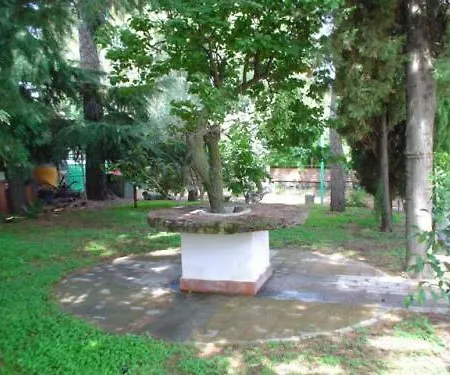 Il Vigneto Trecastagni