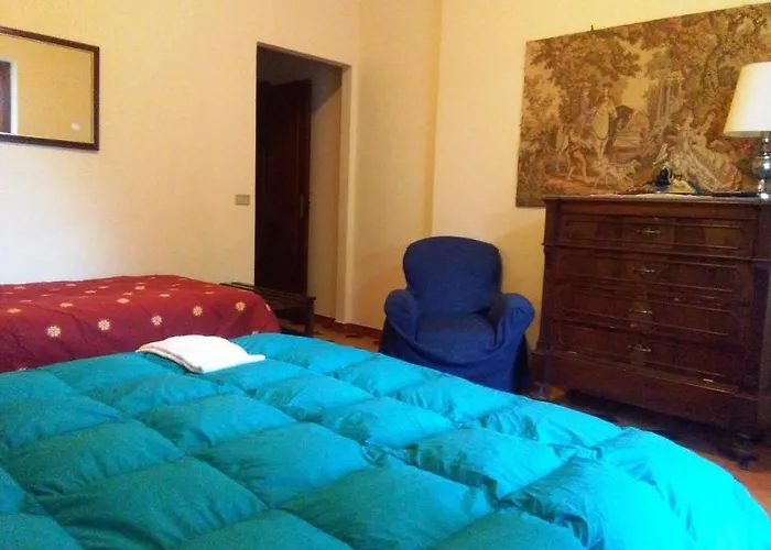 Bed and breakfast Il Vigneto 3*
